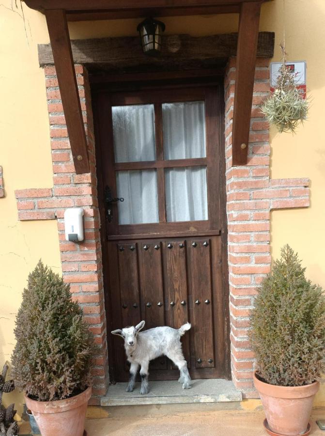 Apartamento Carroceu Rural Onís Exterior foto